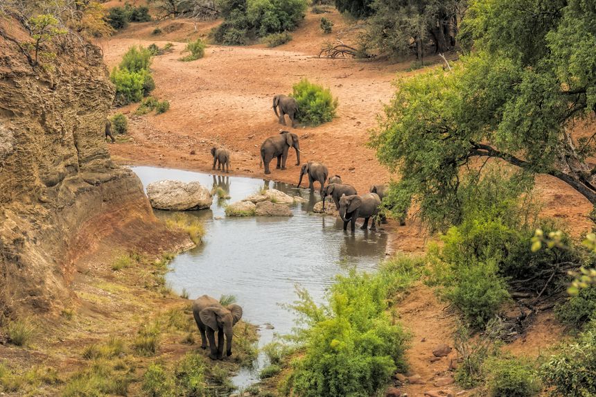 Kruger National Park