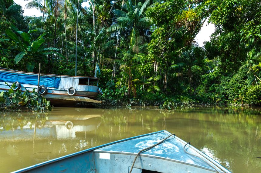 Belém, Manaus, and the Amazon rainforest