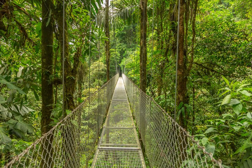 Monteverde Cloud Forest Reserve