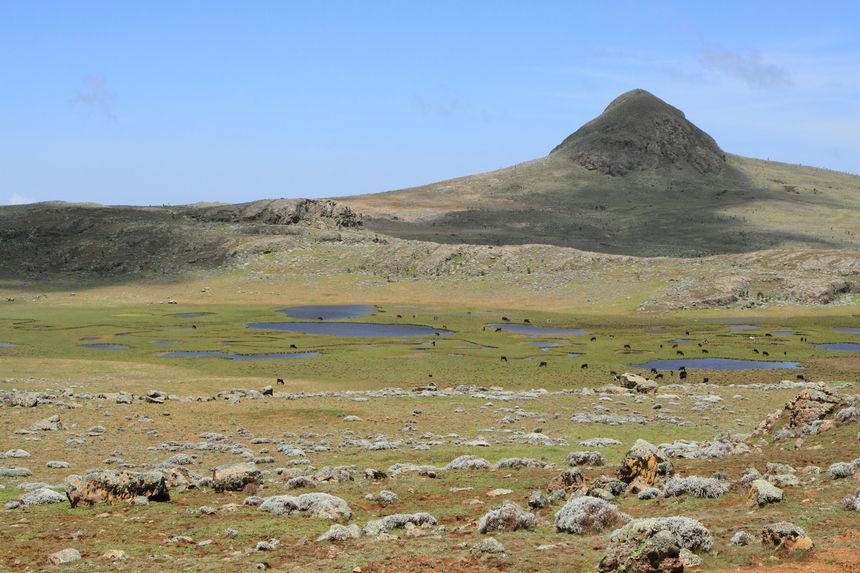 Mont Bale National Park