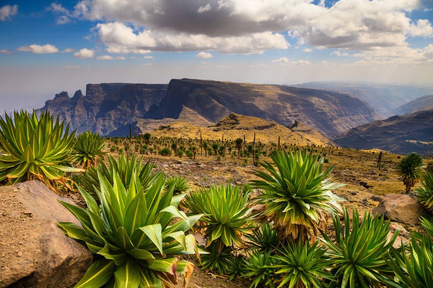 Simien National Park