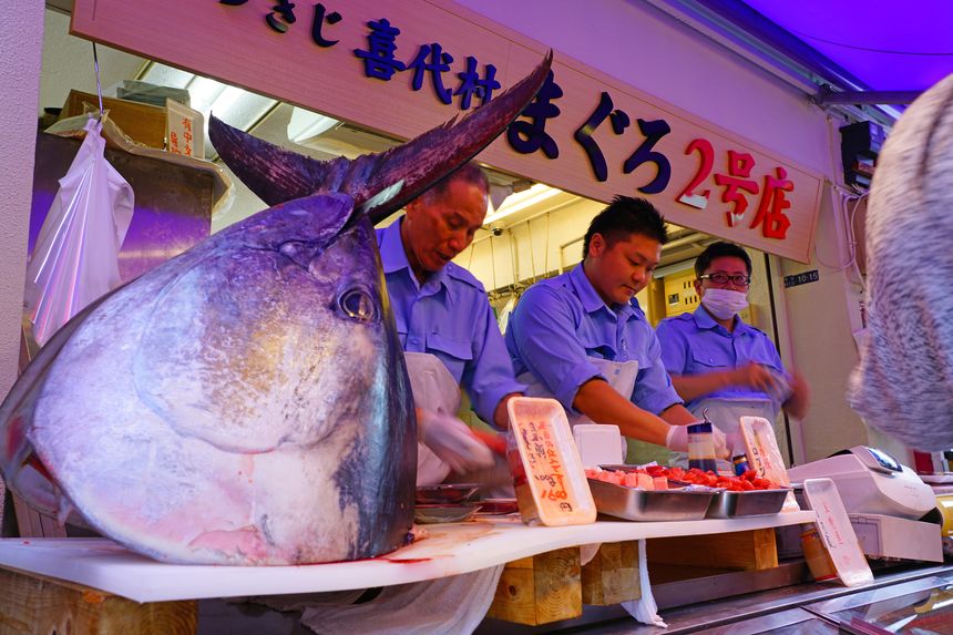 Toyosu Fish Market