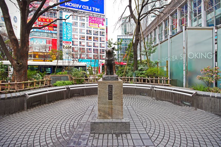 Shibuya and Hachiko statue