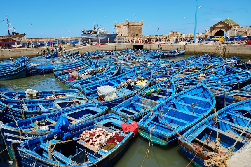 The Harbour