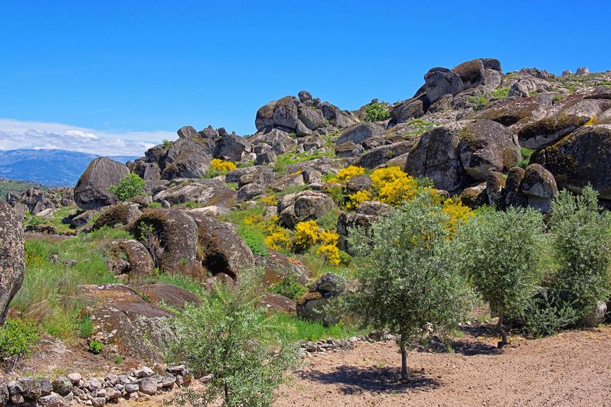 Parque natural da Serra da Estrela