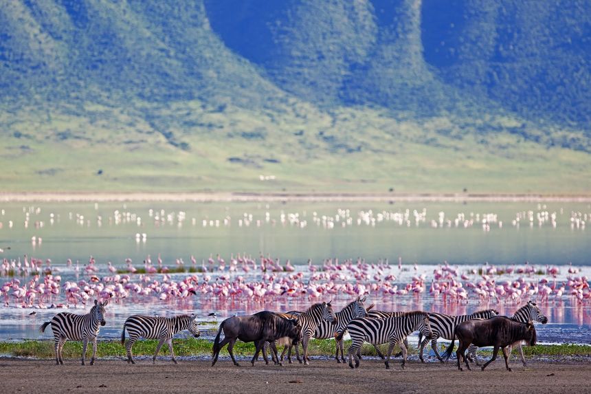 Ngorongoro Crater