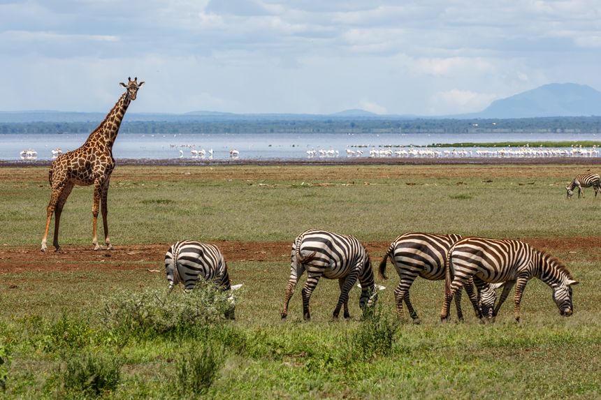 Lake Manyara