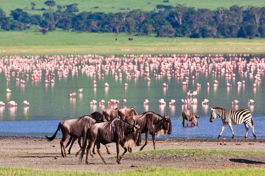 Ngorongoro Crater