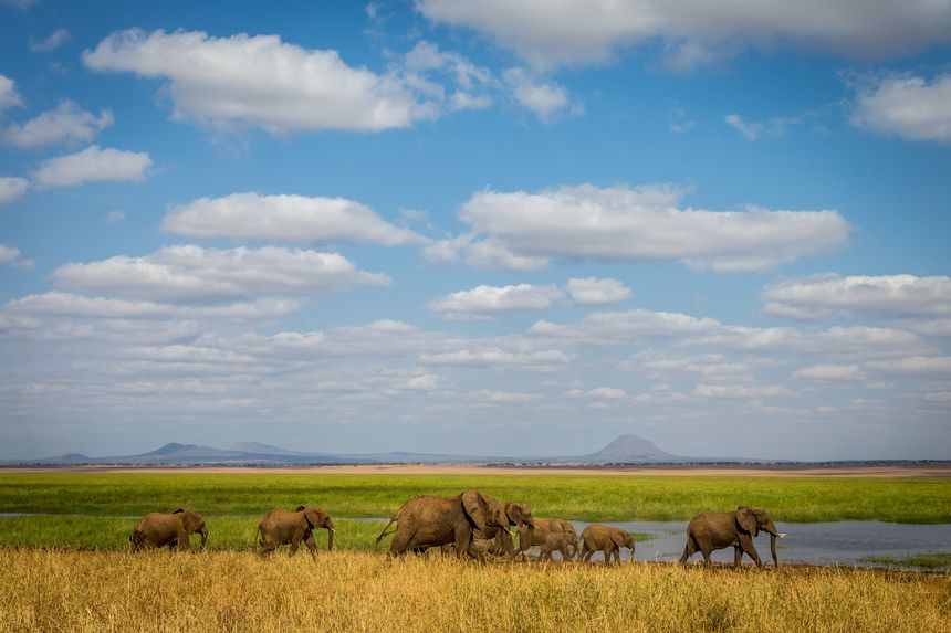 Tarangire National Park