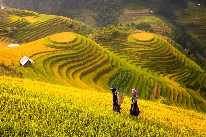 Sapa and Vietnam Northern mountains