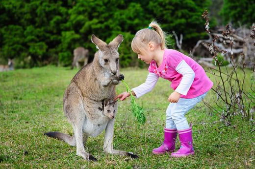 vacation famille Australia