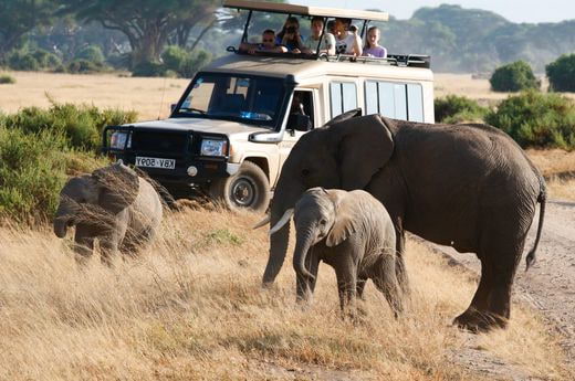 vacation famille Kenya