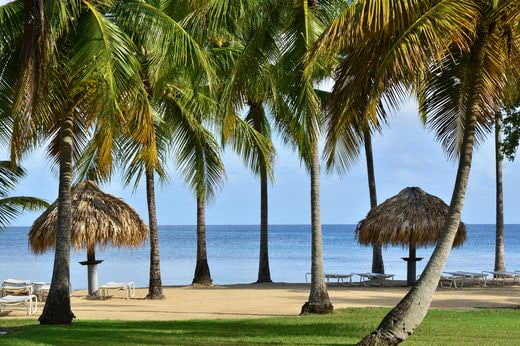 famille Martinique