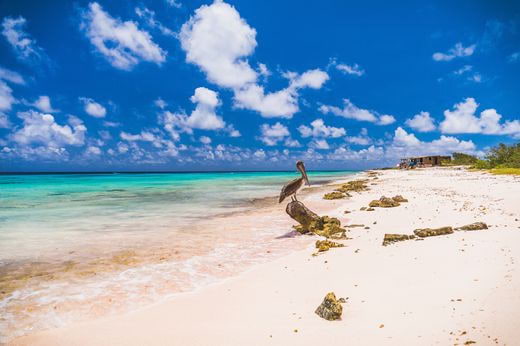 noces Bonaire