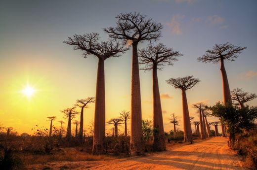 noces Madagascar