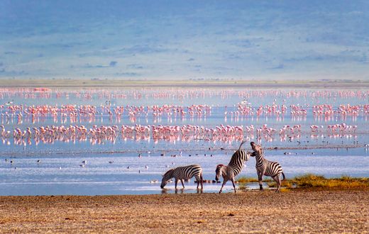 safari Tanzania