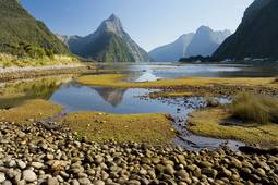 New Zealand