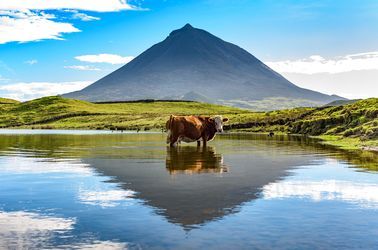 Le Stratovolcan Ponta do Pico