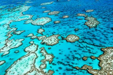 La grande barrière de corail