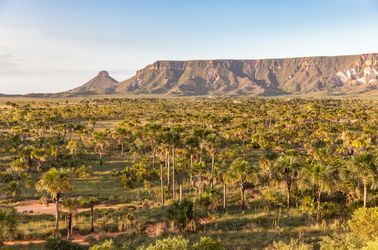 Parc national du Jalapao