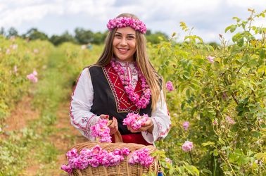 La vallée des roses