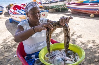 Vente du poisson sur l'île de Santiago