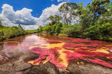 La rivière aux cinq couleurs