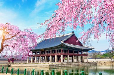 Le palais royal de Gyeongbokgung