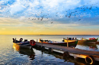 Le parc naturel de l'Albufera