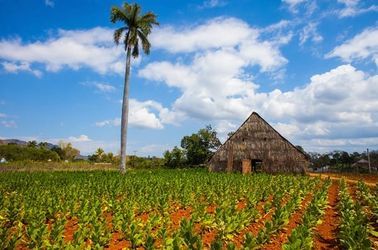 La partie ouest de Cuba