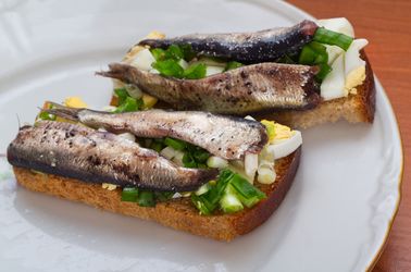 Tartine de hareng frais