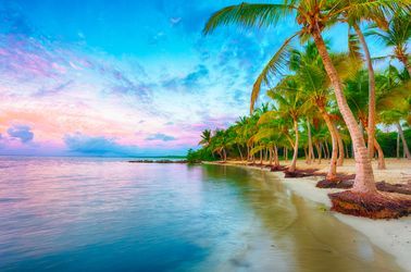 La plage de Saint François 