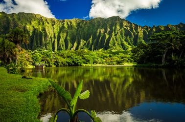 Le jardin botanique de Ho'omaluhia