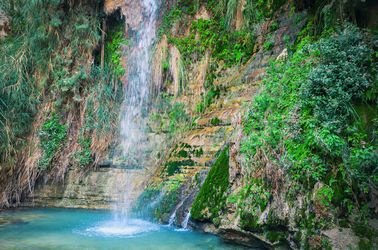 L'oasis Ein Gedi