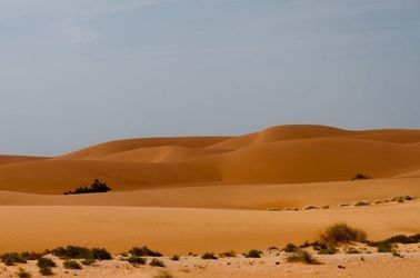 L'Ouest, bassin côtier