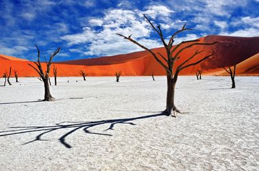 DeadVlei ou marais mort
