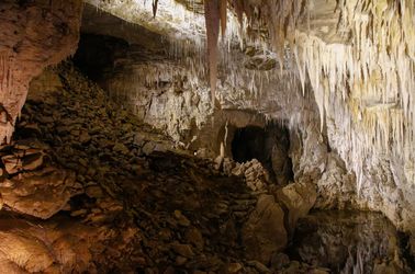 Les grottes de Waitomo