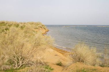 Désert du Kyzyl Kum