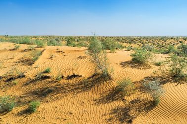 Le désert du Kyzylkoum