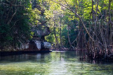 Parc national de Los Haitises