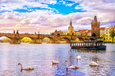 La rivière Vltava et ses cygnes