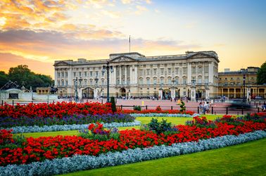 Les jardins du palais de Buckingham