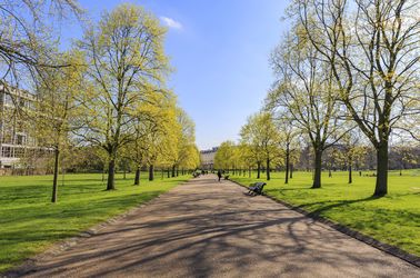Les pelouses de Hyde Park