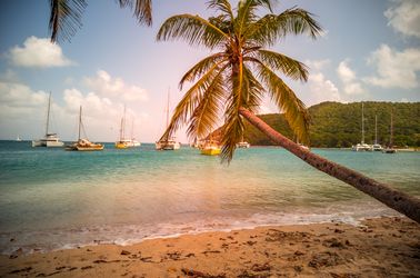 Plage à Tobago Cays
