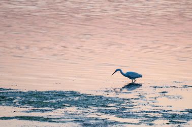 La réserve de Vendicari