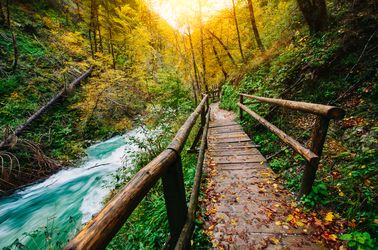 Gorges et forêt de Vintgar