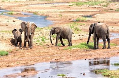 Les hauts plateaux du Sud