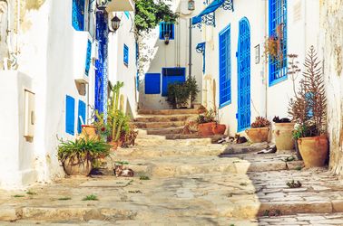 Les ruelles de Sidi Bou Saïd