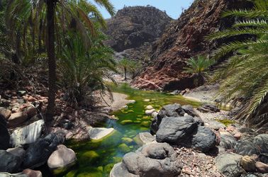 Le canyon Wadi Dirhur 