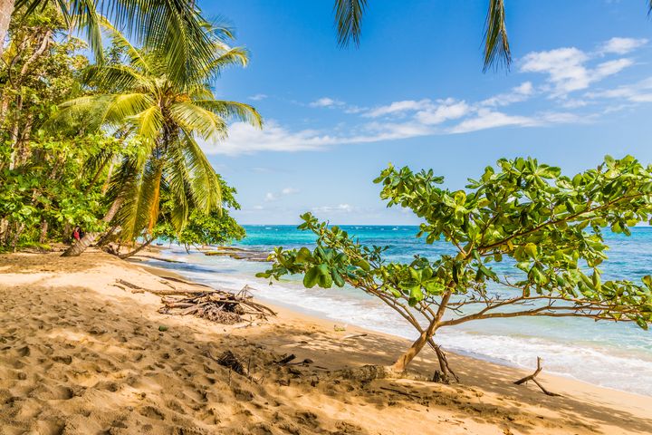 plage The beaches of Punta Uva